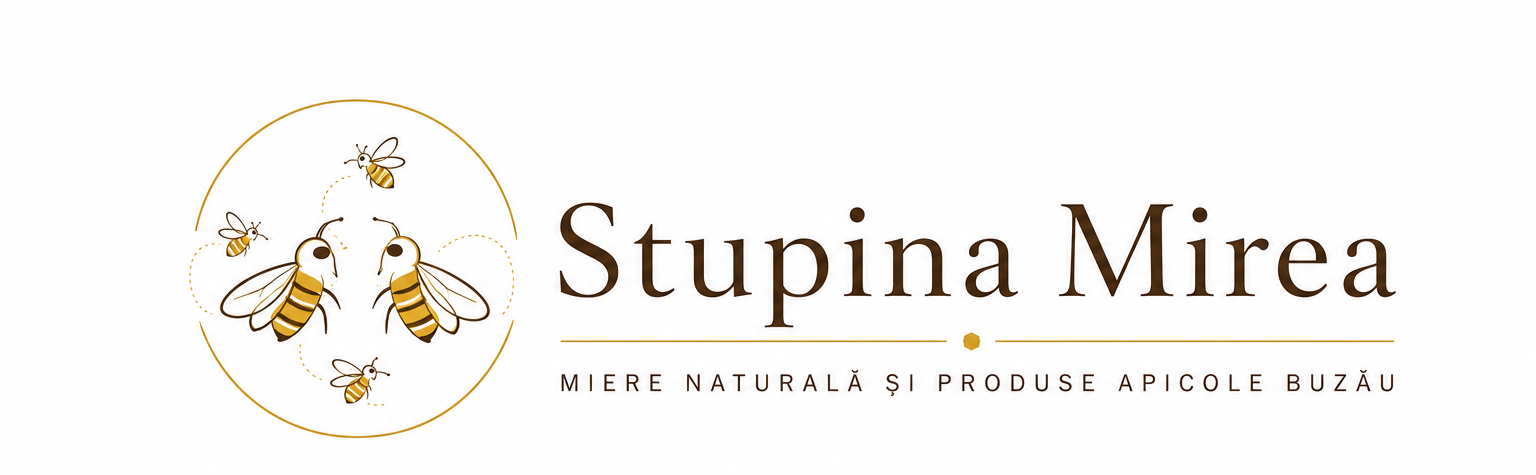 Logo Stupina Mirea